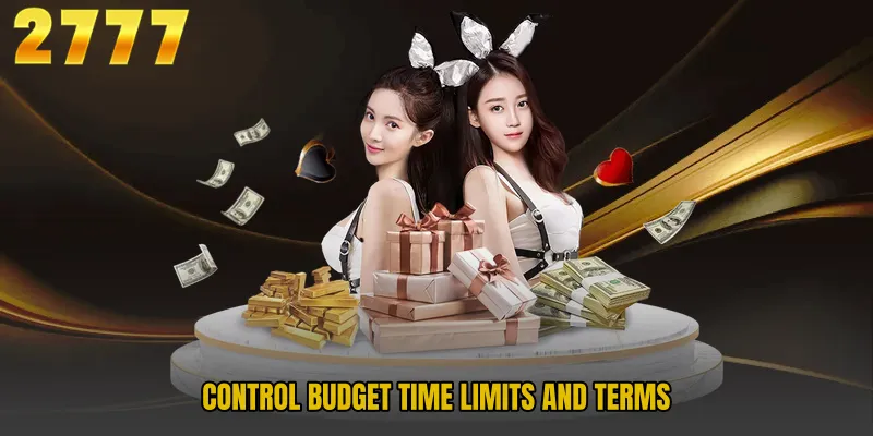 Control budget time limits and terms